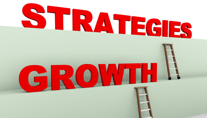 Why growth strategy is important? Many small and medium business owners feel  the growth strategy is not important because they are growing already. Let me ask a different question to…